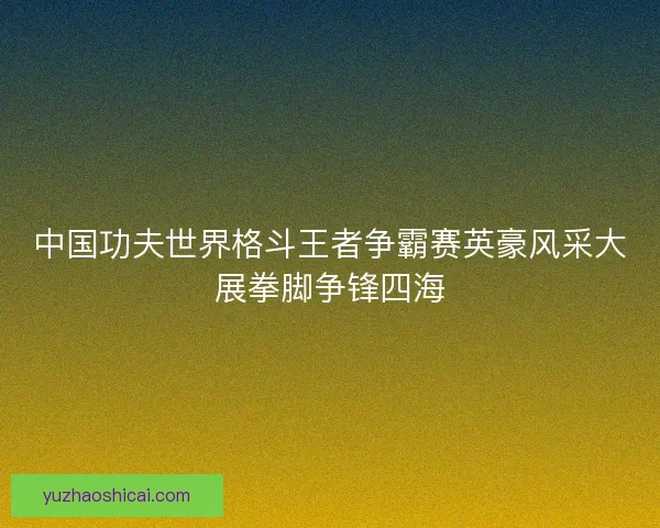中国功夫世界格斗王者争霸赛英豪风采大展拳脚争锋四海 中国功夫世界格斗王者争霸赛英豪风采大展拳脚争锋四海